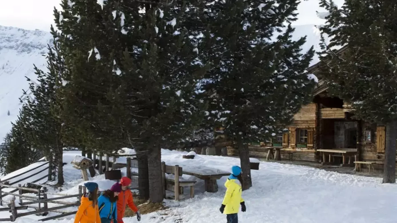 Rodeln bei der Bichlalm