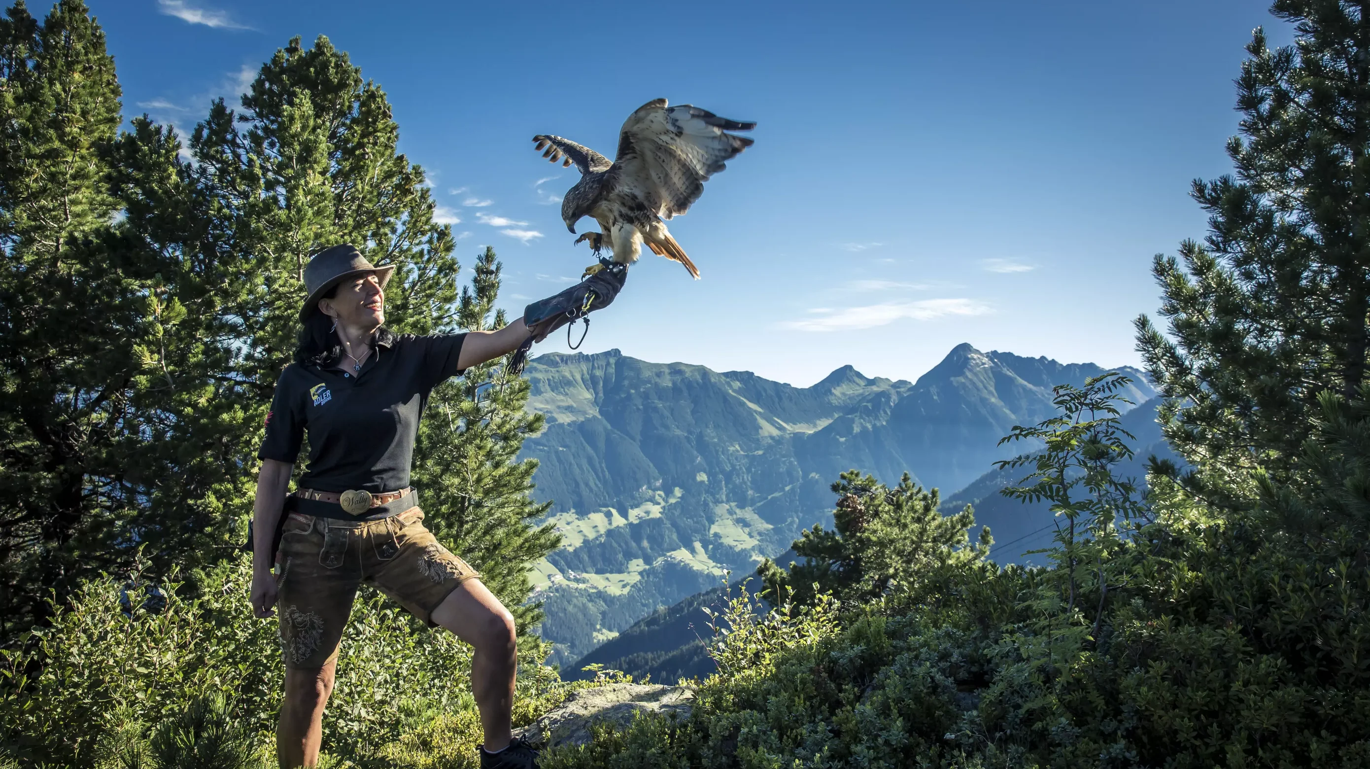 Greifvogel-Bühne auf dem Ahorn, im Zillertal,Mayerhofen, mit Falkner Didi  und Waltraud Wechselberger_98